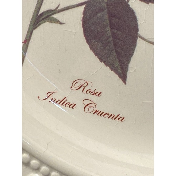 Set of Three Redoute Roses Collection Square Plates by Baum Bros. formalities - Picture 3 of 16